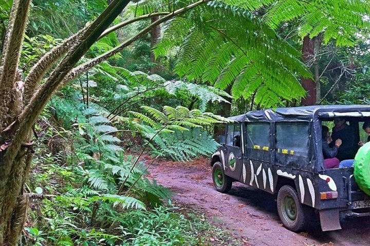 a green truck driving down a dirt road